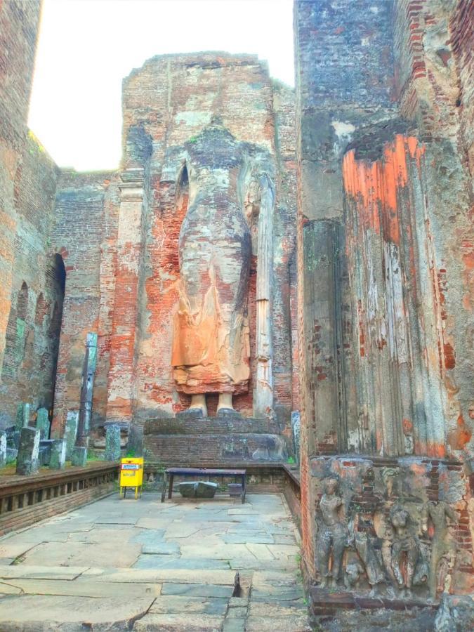 罗亚耐斯特住宿加早餐旅馆 波隆纳鲁沃 外观 照片